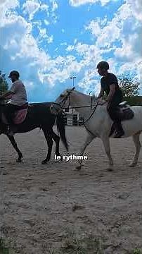 Les randonnées à cheval et les cours en manège, c'est pas pareil !