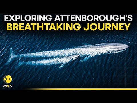 David Attenborough's 'Ocean' Documentary: A Call to Action for Climate and Marine Restoration | WION