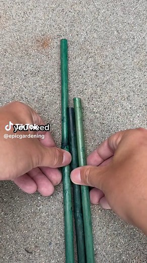 This trellis costs $5 and 5 minutes. Once you learn how to lash bamboo together you can make just about any type of trellis structure you can imagine! #garden