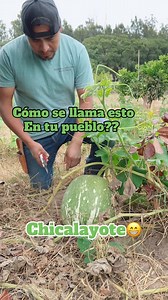 Como se llama esta fruta? | Cano Sam