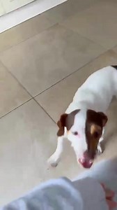 6.4K views · 249 reactions | Our new TV advert highlights the daily...