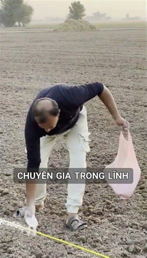 Lưu ý khi đầu tư vào đất rẫy Tây Nguyên