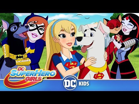 DC Super Hero Girls | Super Pets To The Rescue! | ‪@dckids‬