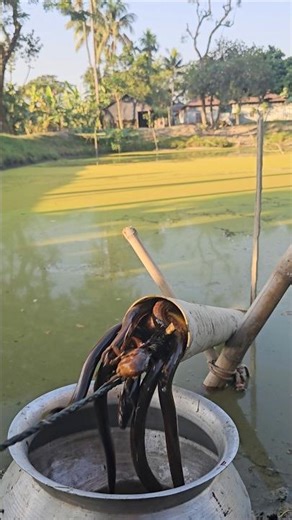 Pipe Fishing Crazy Trick #fishing #fishinglife #fish #shorts