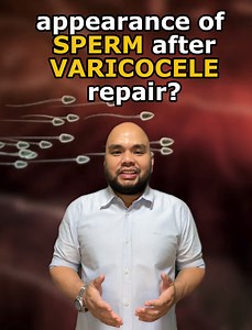 Is there a role of surgical repair of VARICOCELE in men with NON-OBSTRUCTIVE AZOOSPERMIA #maleinfertility #sperm #azoospermia #zerosperm #spermretrieval #microtese #varicoceles #varicocelectomy | Dr. Marlon Martinez & Male Infertility