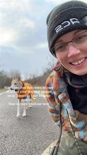 Remembering Saige Grace: A Tribute to the Strongest Dog