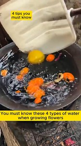 74K views · 2.1K reactions | 4 best tips for taking care of plants #urbangardening #gardeninguk #gardeningfun #gardeningmakesmehappy #gardeningistherapy | Gardening Tips | Facebook