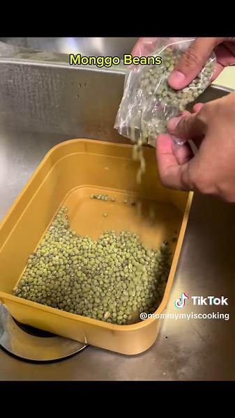 Grow Bean Sprouts Fresh in Your Kitchen