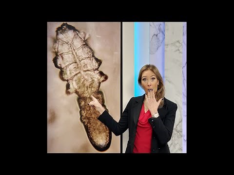 Gut Health, Parasite, Acne, Collagen Part 1 - Dr. Janine