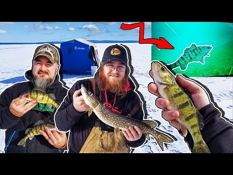 Ice Fishing - Perch Fishing Burt Lake, Michigan🎣