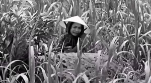 6K views · 106 reactions | It was in 2016 that John Pilger released...