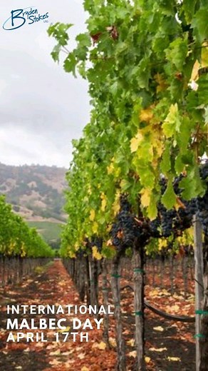 It’s International Malbec Day! 3 Fun Facts: Malbec originated in...