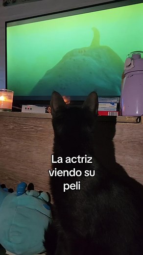 Cuentas recomendadas