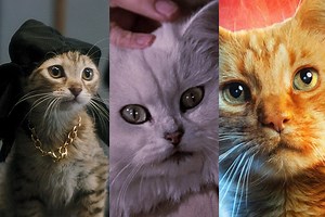 De Jones ('Alien') a Goose ('Capitana Marvel'): 11 gatos de cine que son unos perfectos robaescenas