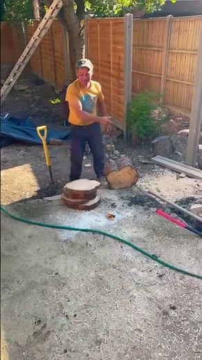 How do you remove a huge tree root?