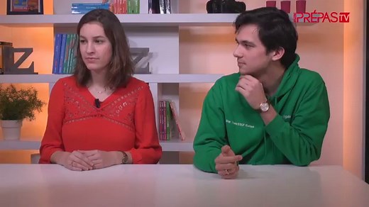 Ecoles de commerce : admission, orientation, formation et débouchés