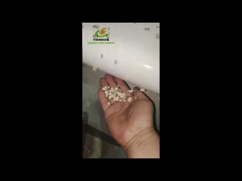 Instant Oatmeal Oat Flakes Processing Machinery Oatmeal processing equipment