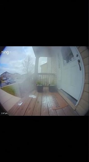 Powder Bomb EXPLODES On Porch Pirate! #porchpirate #instantkarma #glitterbomb #karma