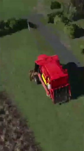 FS 19 Cotton Harvest #2