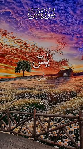Surah Yaseen With Urdu Translation