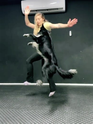 Flashdance ♡ #parati #flashdance #fyp #dog #doglover