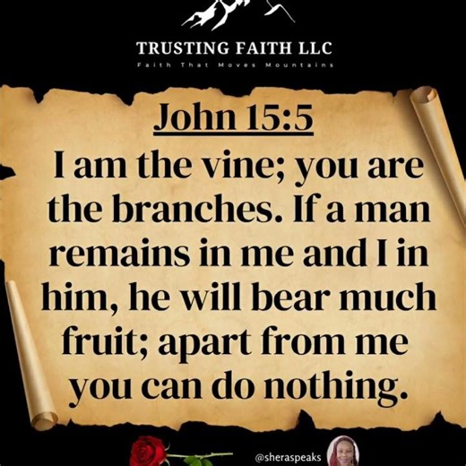 John 15:5 #daily #bibleverse #scripture #bible #truth #wordofGod #sheraspeaks