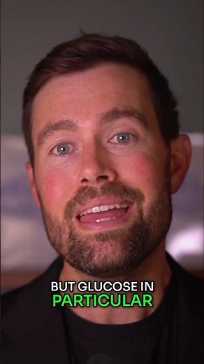 Brain Sugar: Why Your Brain Needs Glucose Explained