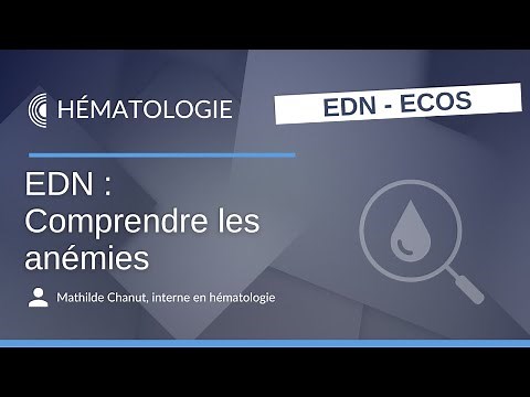 EDN : Comprendre les anémies