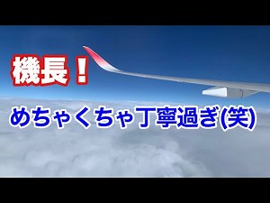 超 かっこいい！ JAL パイロット機内アナウンス 新千歳ー羽田【IBA飛行機】