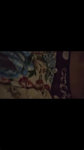 Videos de Angel y los primos pros (@angelazo044) con “original sound - Will.I.am👍”