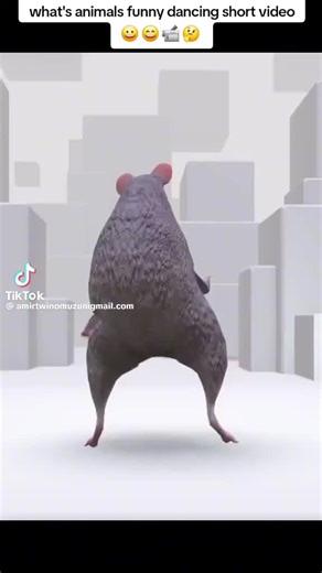 Funny Animals Dancing Compilation Video