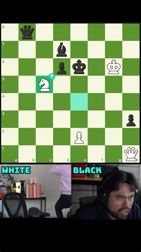 ai có thể giải thích không Can you explain #chess #covualogic