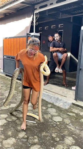 Cemong & Sugrim Are Shocked! While They're Having Fun Playing, Vebby's Friends Suddenly Approach ...