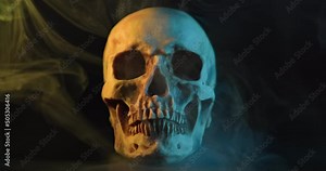 Skull with colored lighting loop closeup
