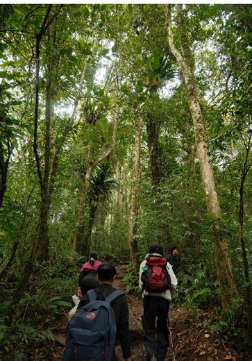 Choosing the Right Camera for Capturing Moments