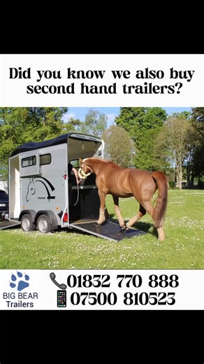 Did you know we also buy second hand trailers? Do you have a trailer you are wanting to either part exchange or looking to sell? We can help. 📍Oundle Marina, Barnwell Road, Oundle, Northants PE8 5PB 🐾 For all your trailer needs please reach out using the details below: 📞01832 770 888 📱07500 810523 📧 info@bigbeartrailers.co.uk 💻 https://bigbearoutdoor.co.uk 💷 Finance options available 🤝 Part exchange considered 🔒 Trailer security accessories 🚨 New trailer trackers 📸 Trailer cameras 🔧 