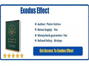 What Is Exodus Effect? Your Starters Guide