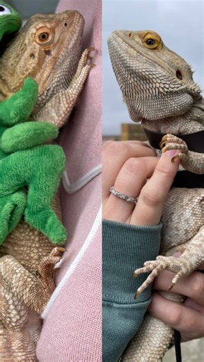 34 reactions · 6 comments | Legend has it there are dragons in our...