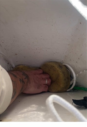 Sorpresa al Restaurar el Barco Quicksilver 450 Cabin