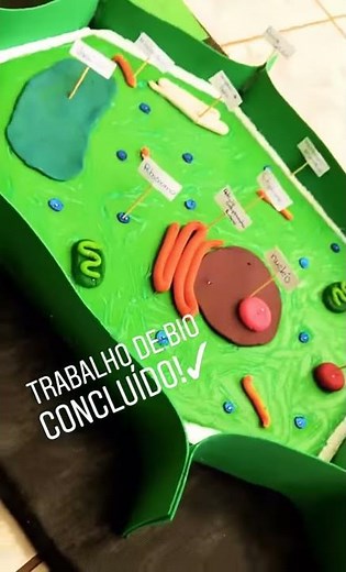 Célula Vegetal - maquete