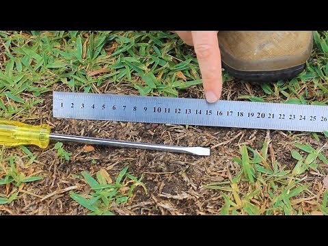 The Lawn Compaction Test