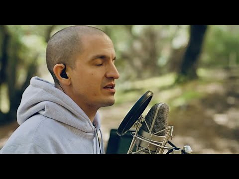 Wax: "The Full Picture"