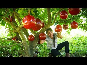 Harvest 1000+ CALABASH FRUIT — How Do Dogs Face Pythons?