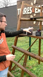 Aimpoint : top 3 points rouges 💥🐗 - H34S - H34L - Micro H2 Points rouges disponibles chez @terreseteaux_chasseurs ———-(@lj_chasse / Jeremy)—————- - - - - - - - #chasse #aimpoint #selection #top3 #pointrouge #2moa #qualitatif #madeinsweden #jakt #jagd #caccia #chasse #chasseur #chasser #chasseresse #hunter #hunting #hunt #huntress #wildboar #wildboarhunting #sangliers #grosgibier #rifles #reddot #redditpoints #terreseteaux #orleans #huntinglife #gunlife #ljchasse | LJChasse