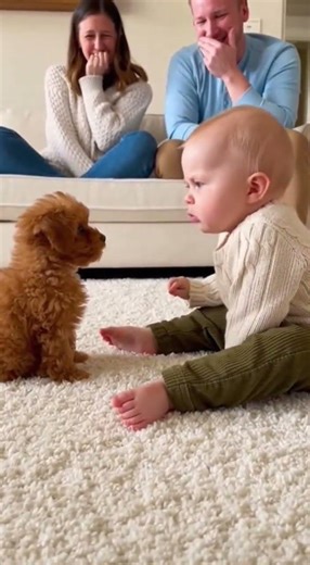 Tiny Baby & Playful Puppy Face-Off 🍼🐶 | Funny Woof Moments😂🐾