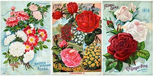These Beautiful Turn-of-the-Century Seed Catalogs Will Inspire You to Start a Collection