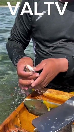 fresh a live fish 🐟 #fishing #sugodbahaymgakapatid #fish #angakingawitaypagibig #seafood #challenge