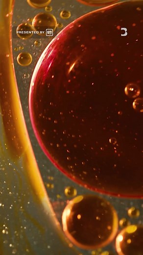 Understanding Palm Oil: Impacts and Sustainable Solutions