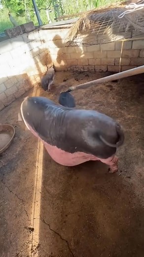 Lol | Math TV Lessons