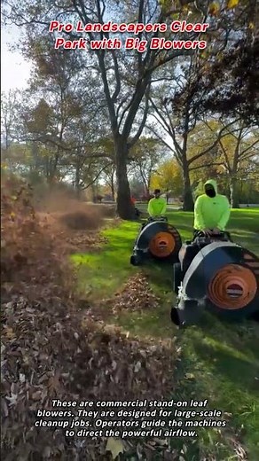 Pro Landscapers Clear Park with Big Blowers